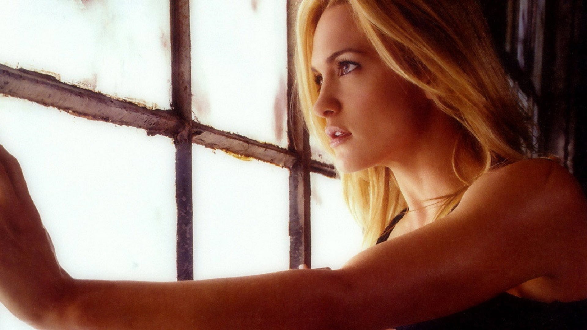 Foto do filme Mutante X