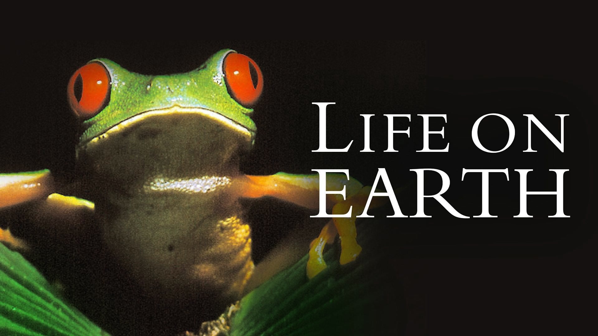 Foto do filme Life on Earth