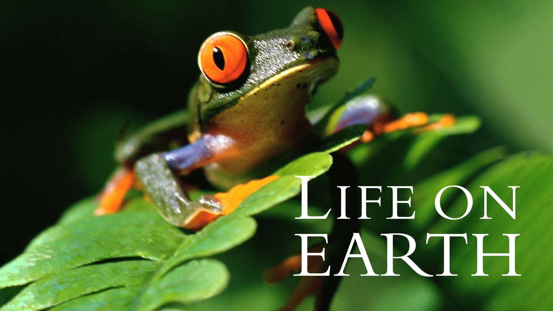 Foto do filme Life on Earth
