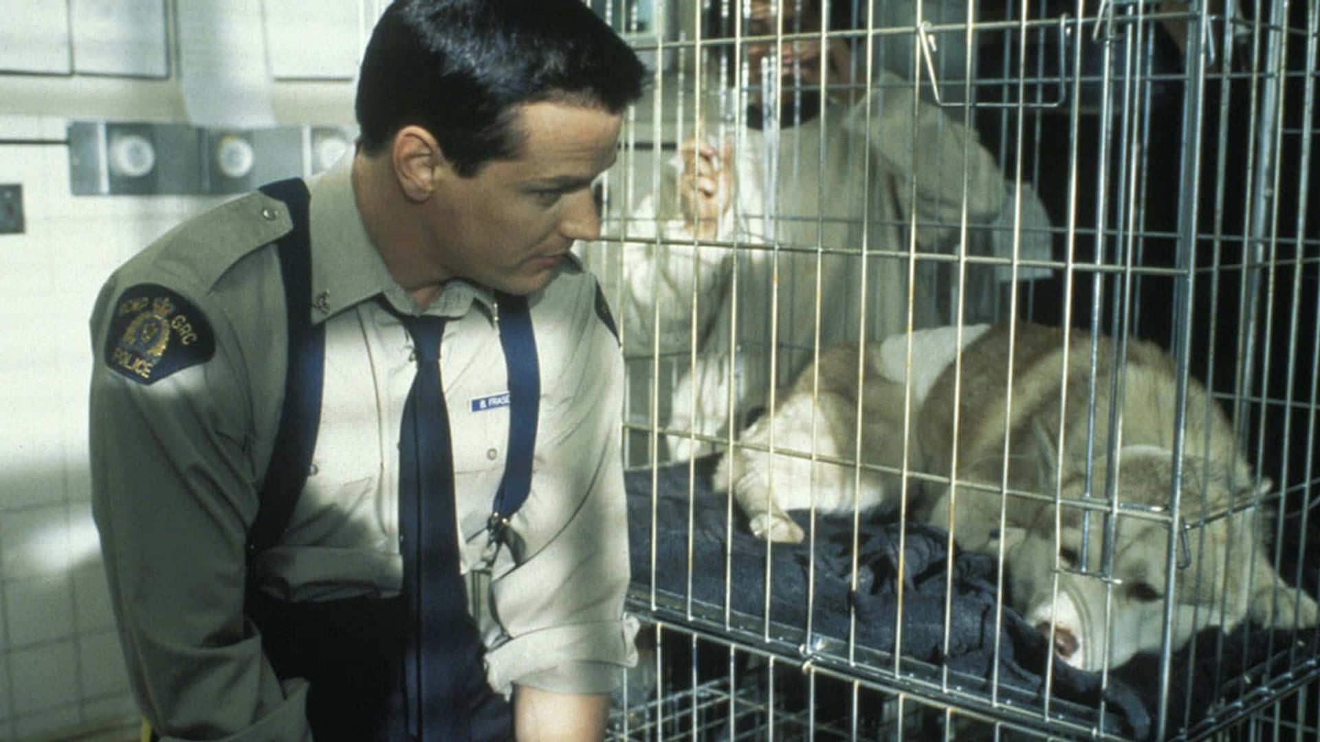 Foto do filme Rumo ao Sul