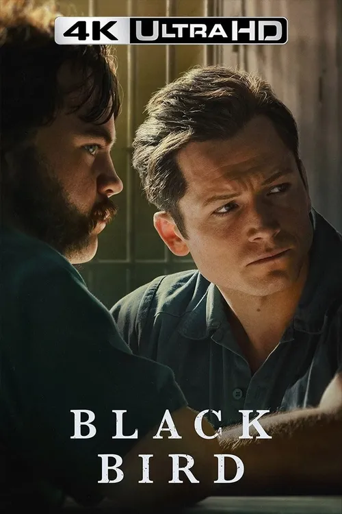 Black Bird
