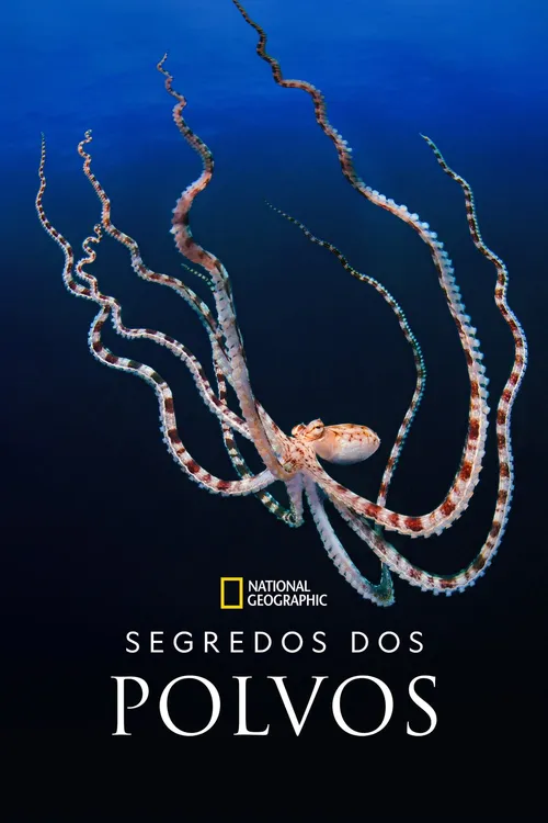 Segredos dos Polvos