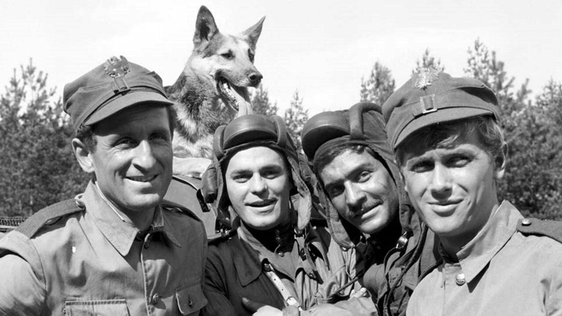 Foto do filme Czterej pancerni i pies