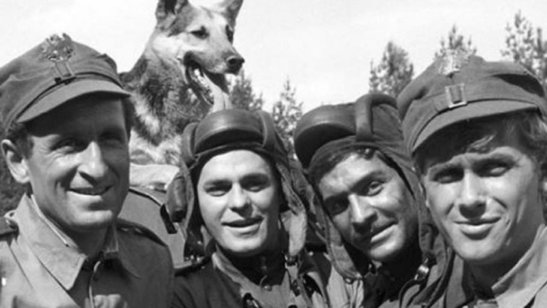 Foto do filme Czterej pancerni i pies