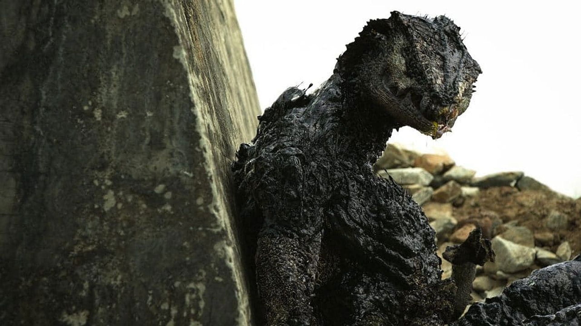 Foto do filme OATS Studios