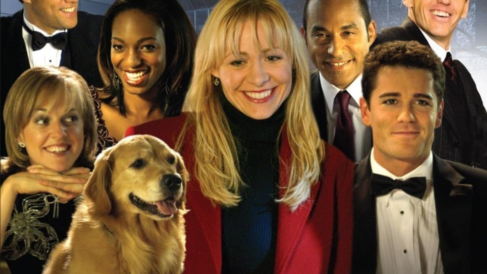 Foto do filme Sue Thomas: F.B.Eye