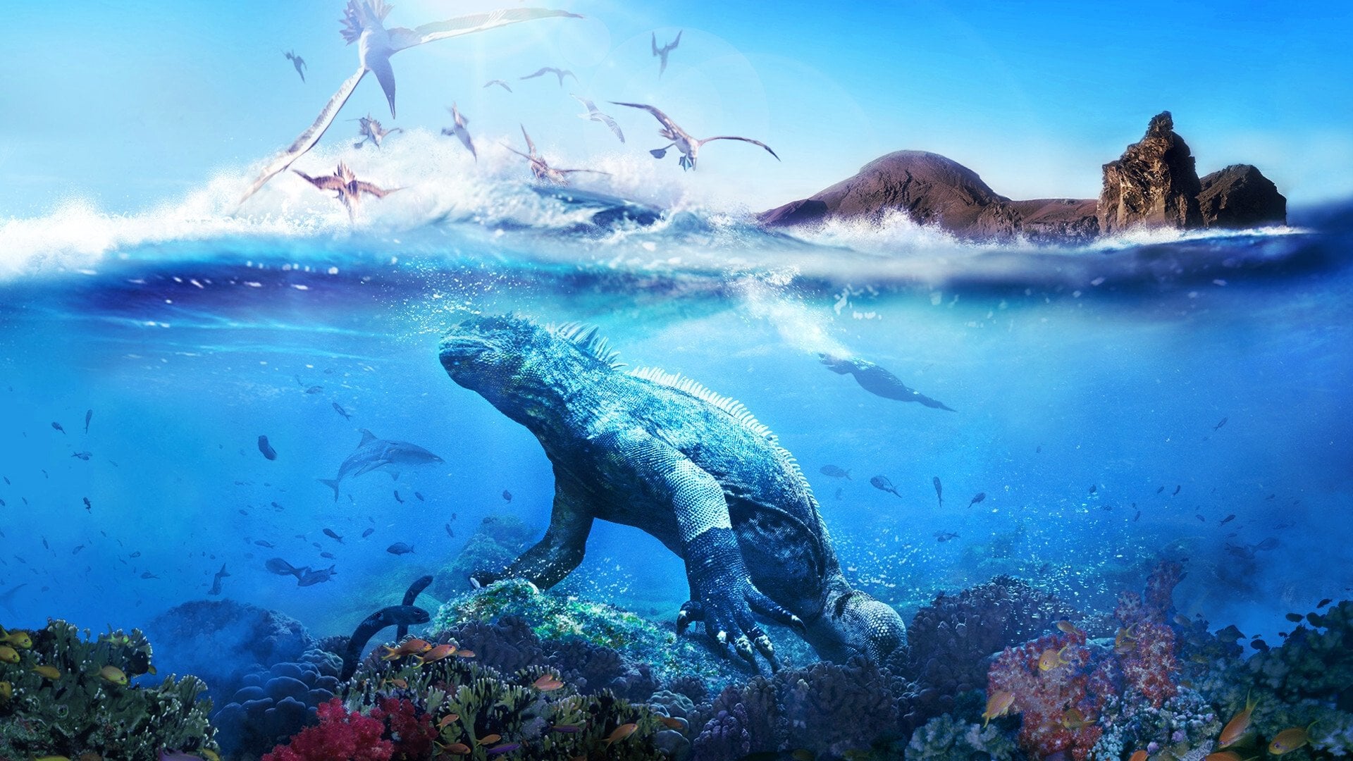 Foto do filme Galapagos