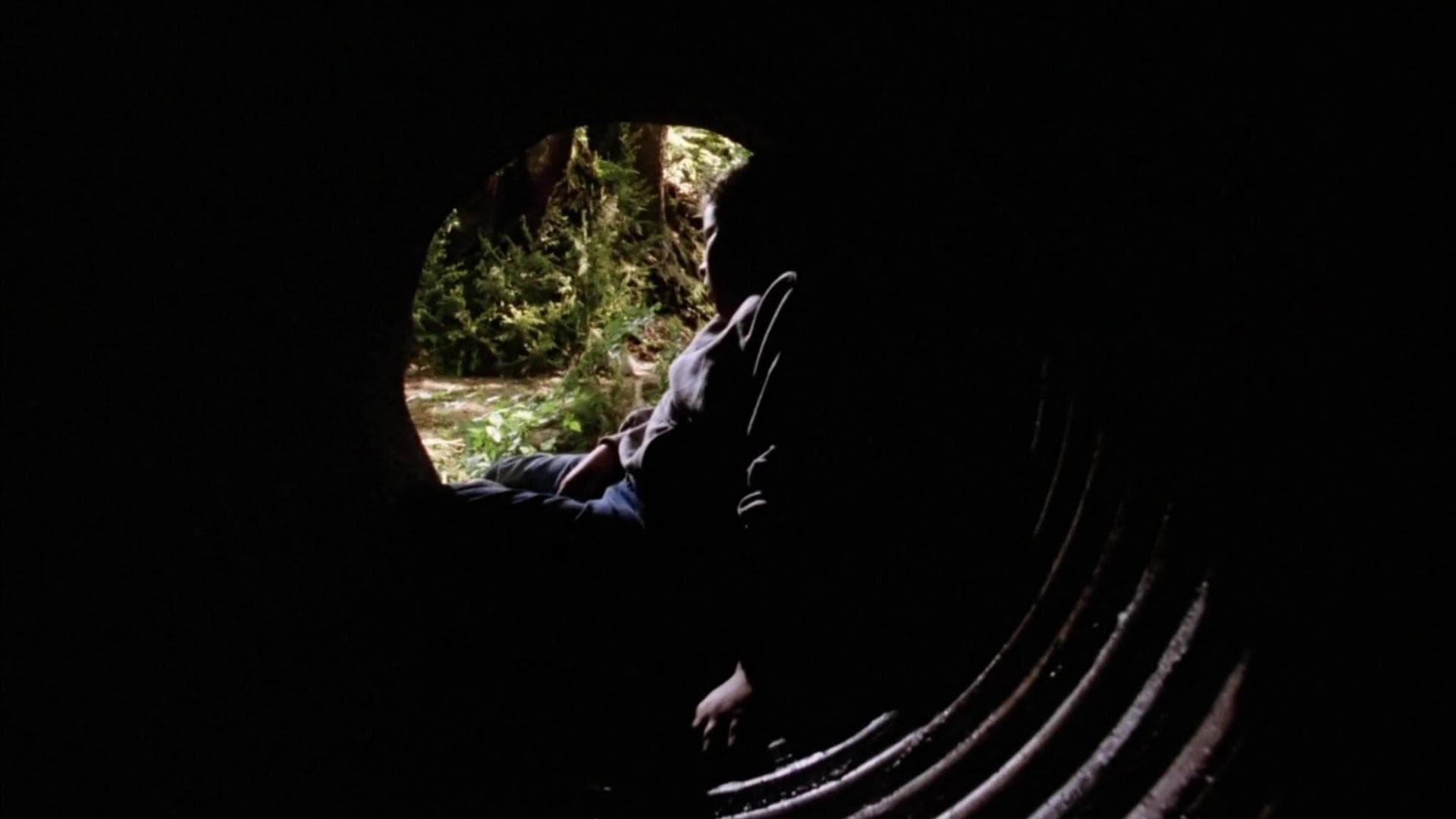 Foto do filme It: Uma Obra-Prima do Medo