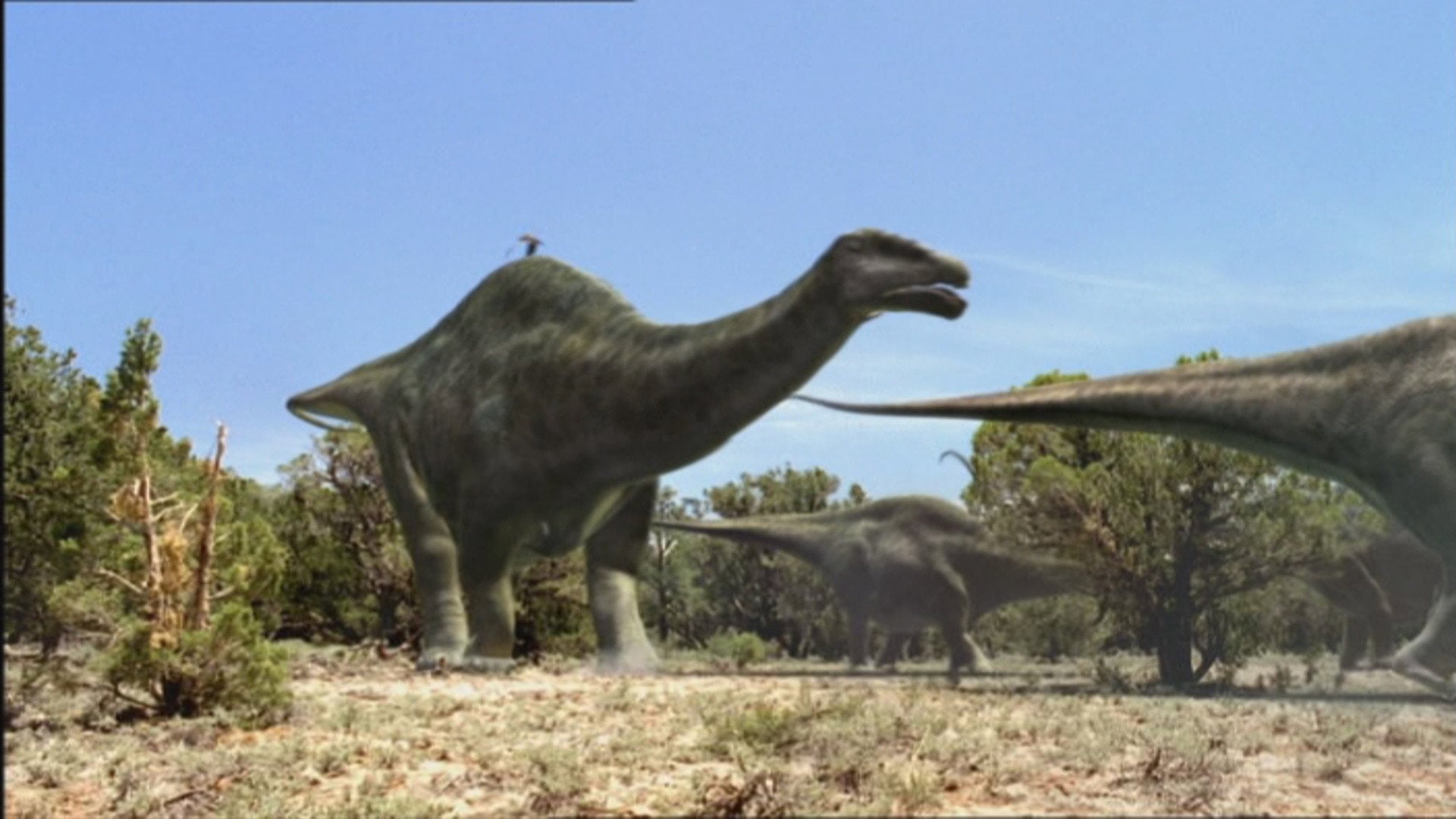 Foto do filme Big Al