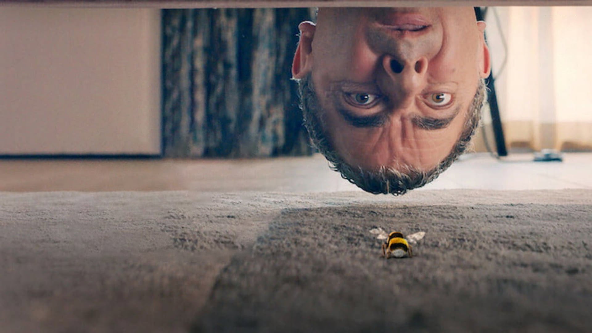 Foto do filme Homem X Abelha: A Batalha