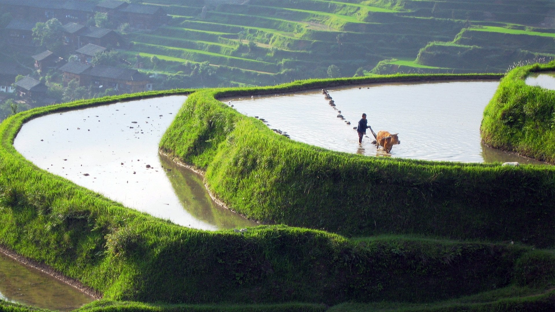Foto do filme Wild China