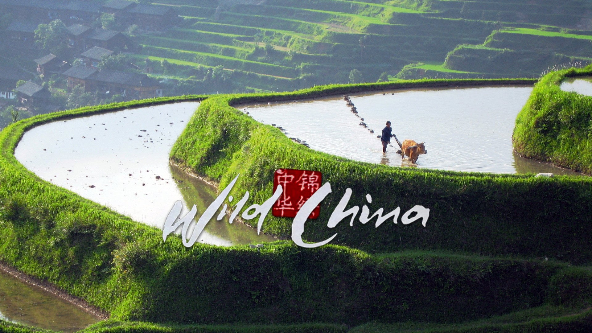 Foto do filme Wild China