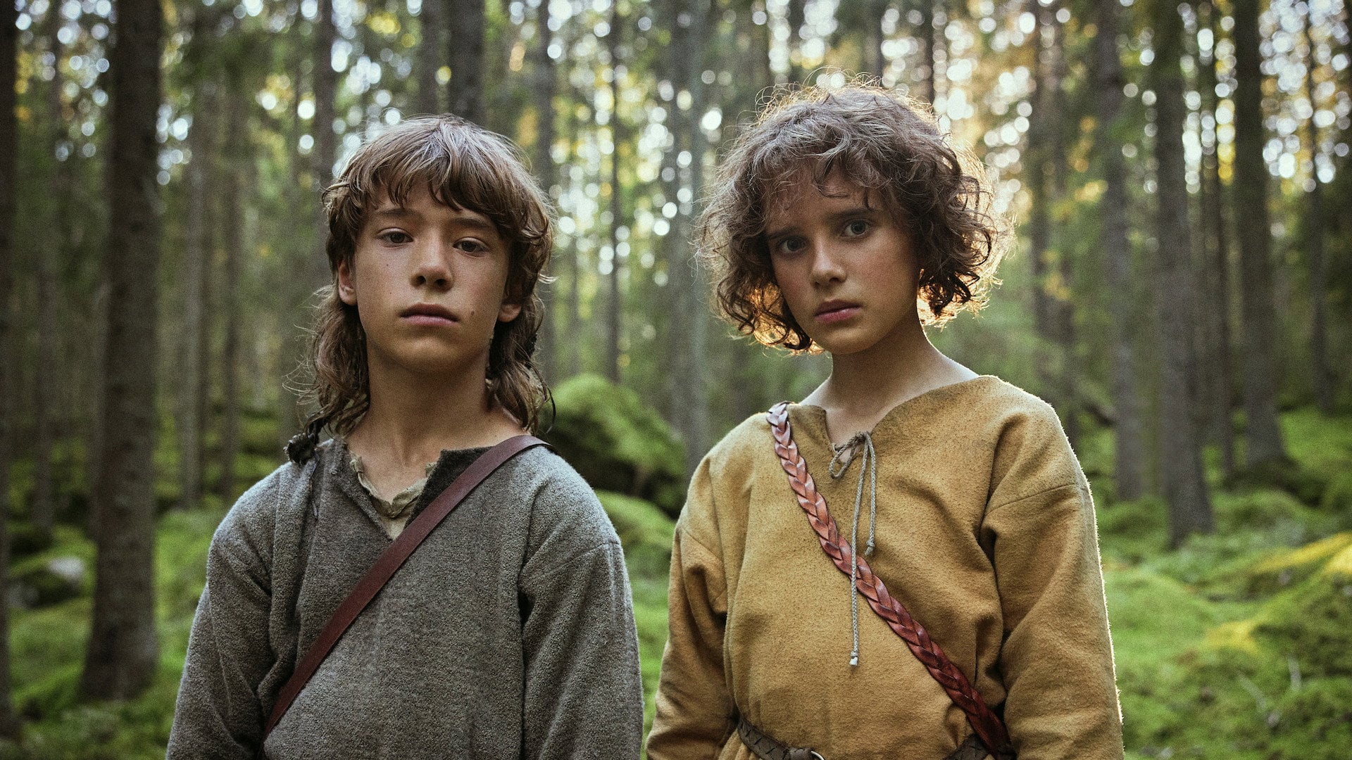 Foto do filme Ronja Rövardotter