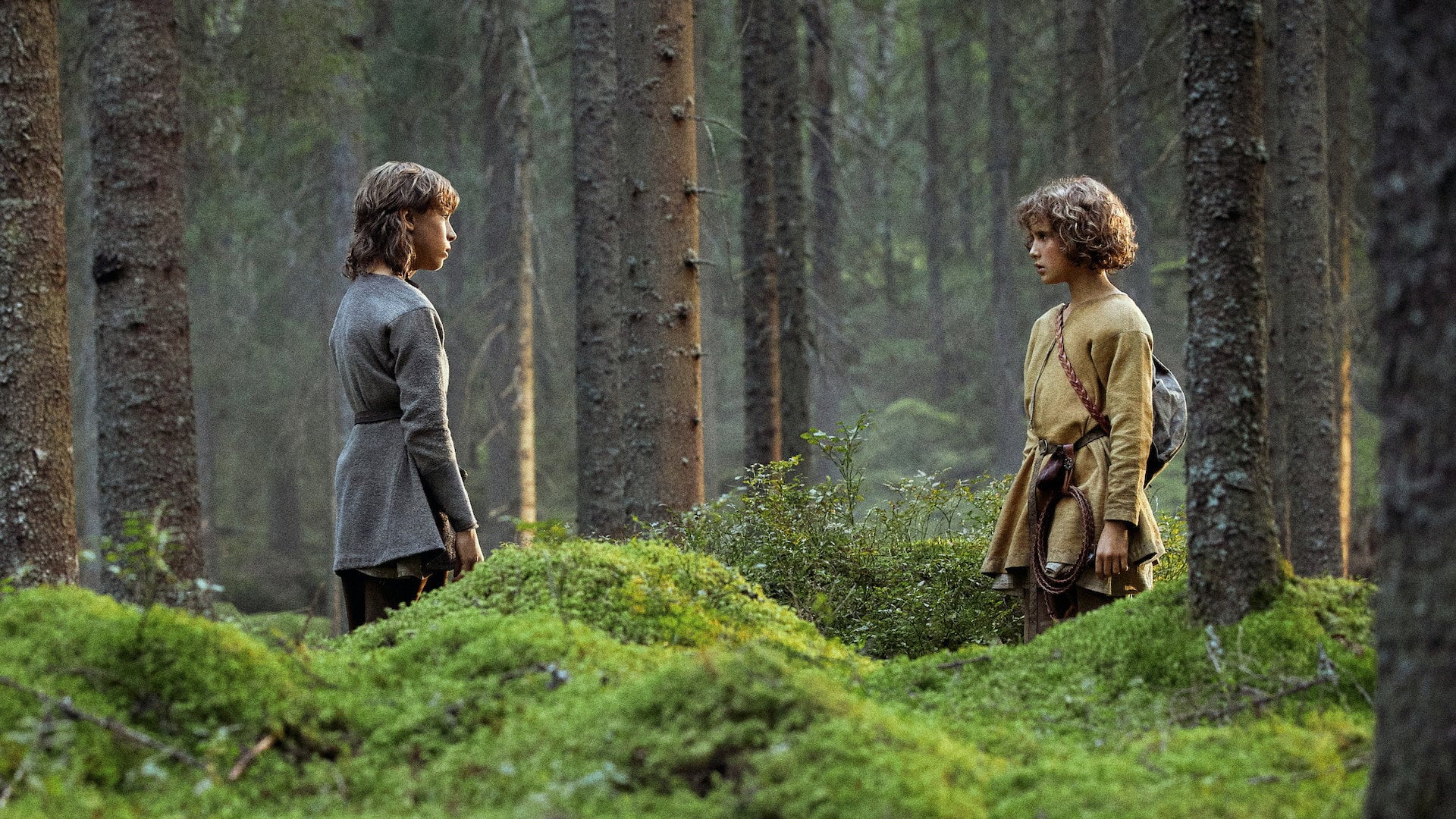 Foto do filme Ronja Rövardotter