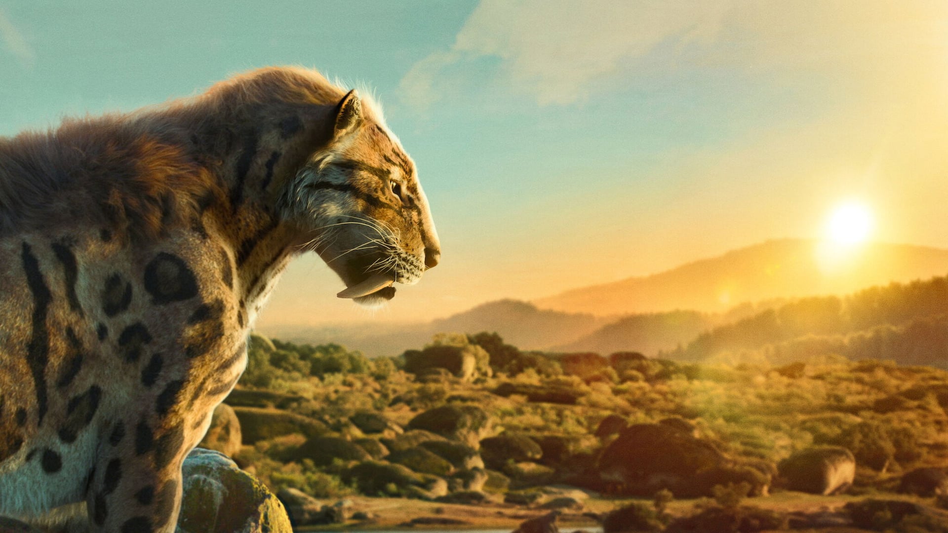 Foto do filme A Vida no Nosso Planeta