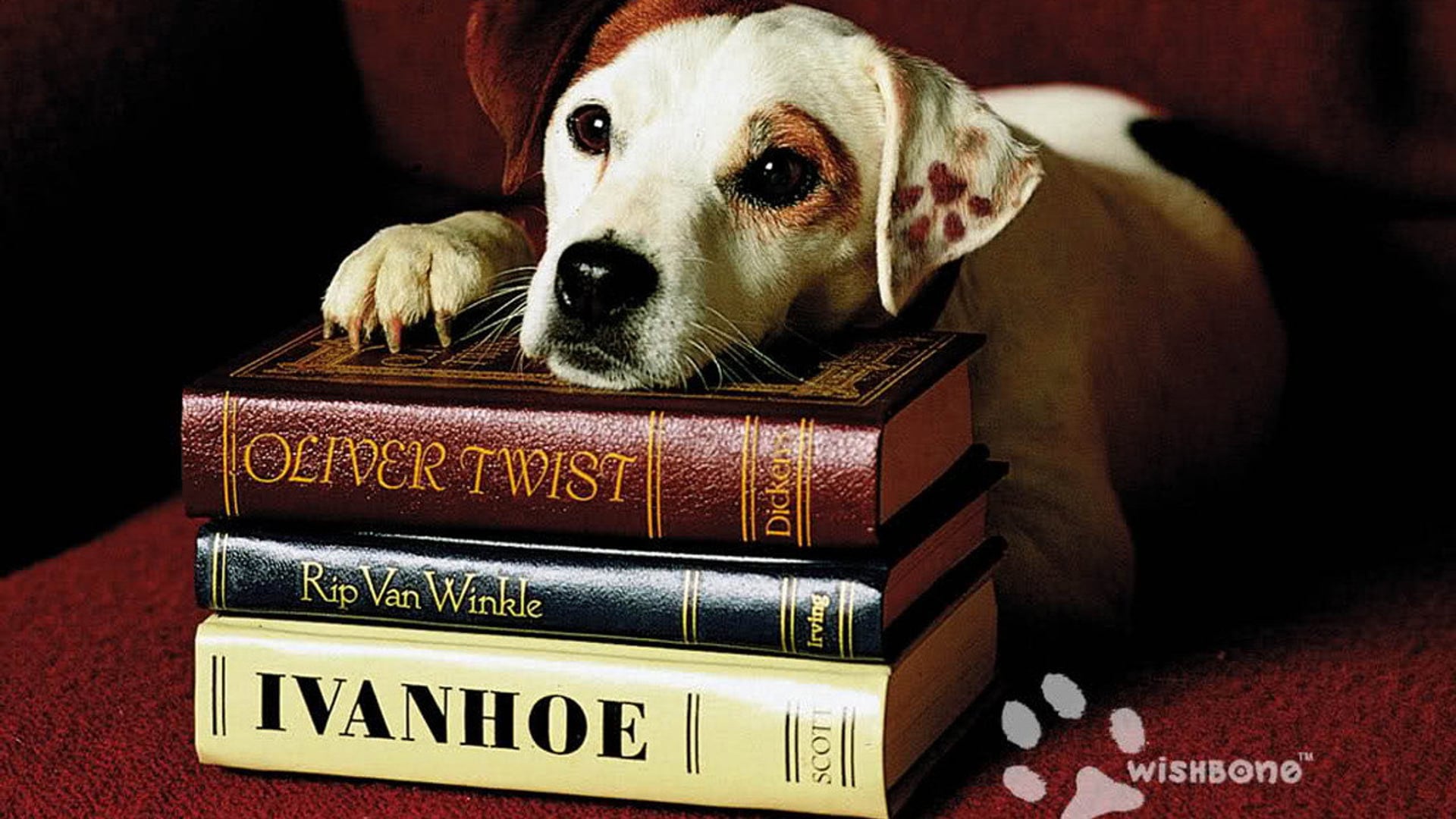 Foto do filme As Aventuras de Wishbone