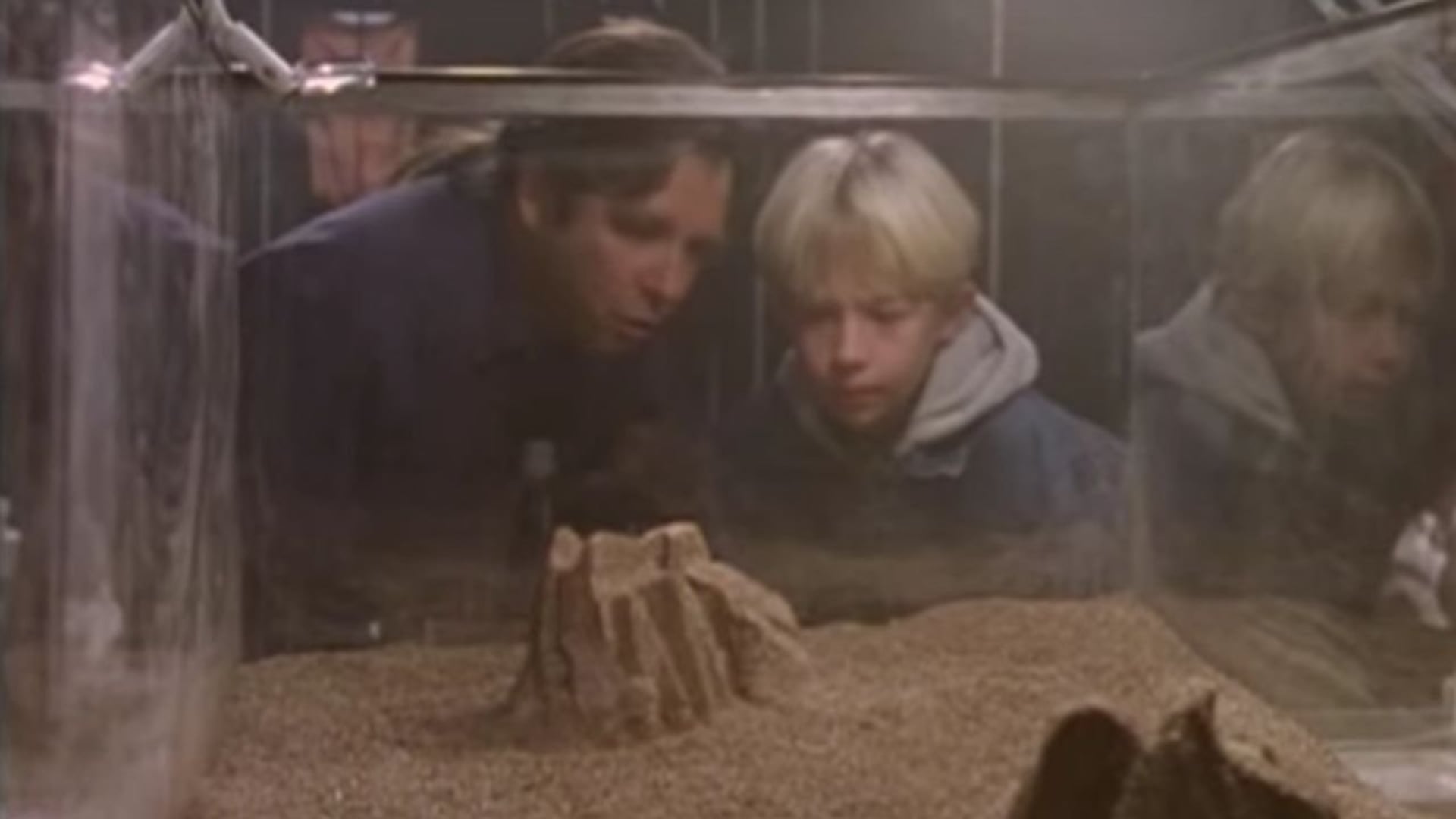 Foto do filme Quinta Dimensão