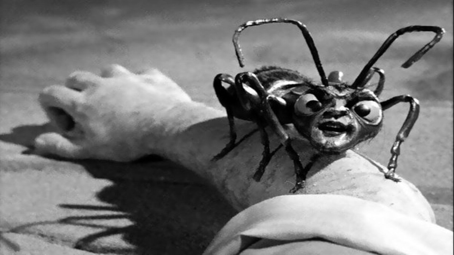 Foto do filme Quinta Dimensão