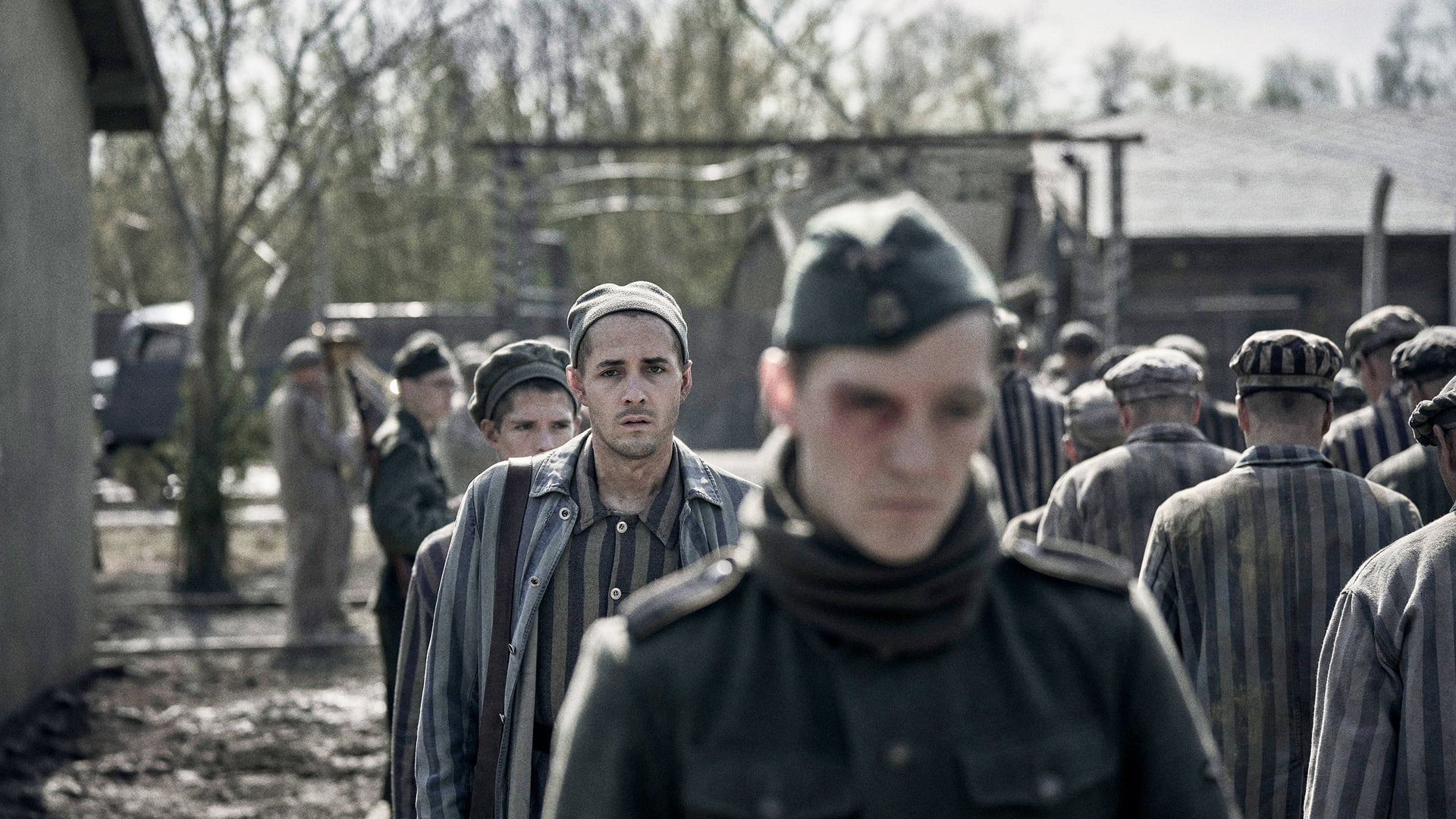 Foto do filme O Tatuador de Auschwitz