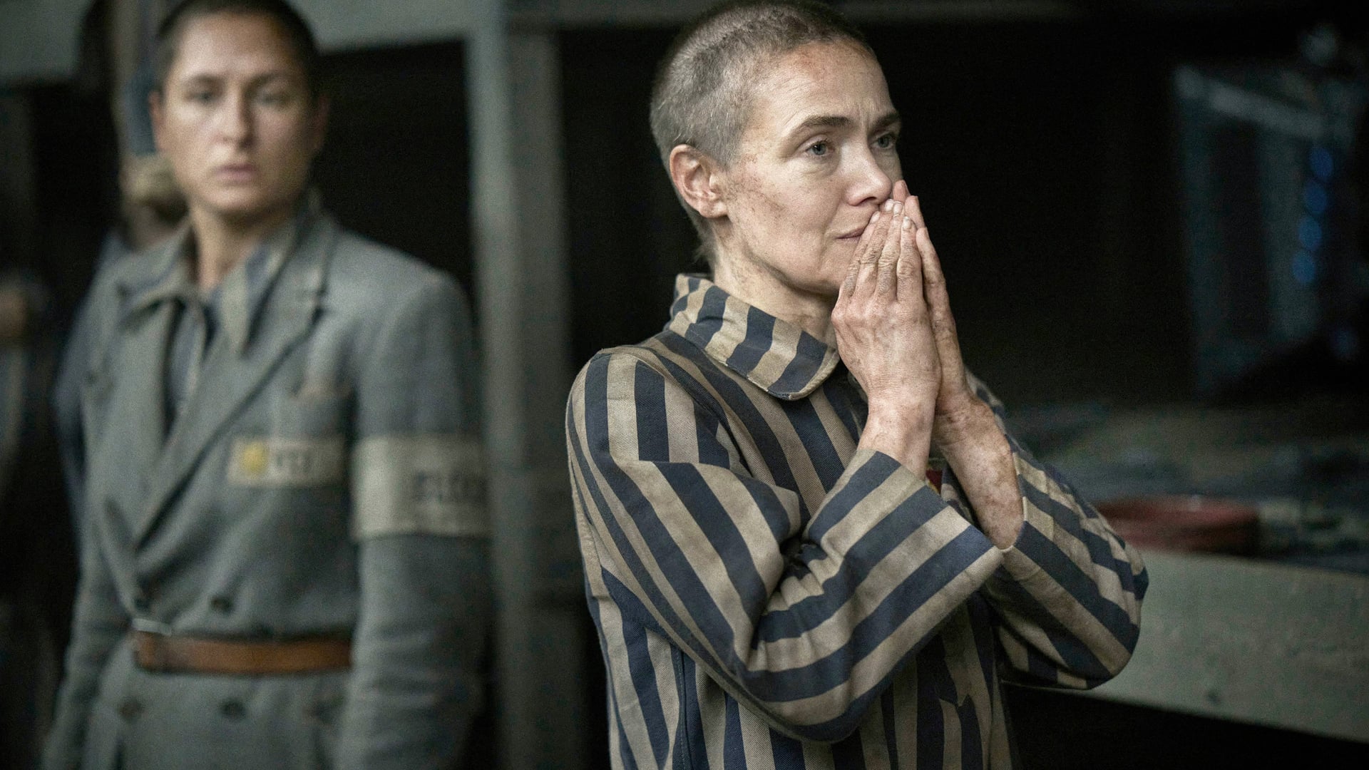 Foto do filme O Tatuador de Auschwitz
