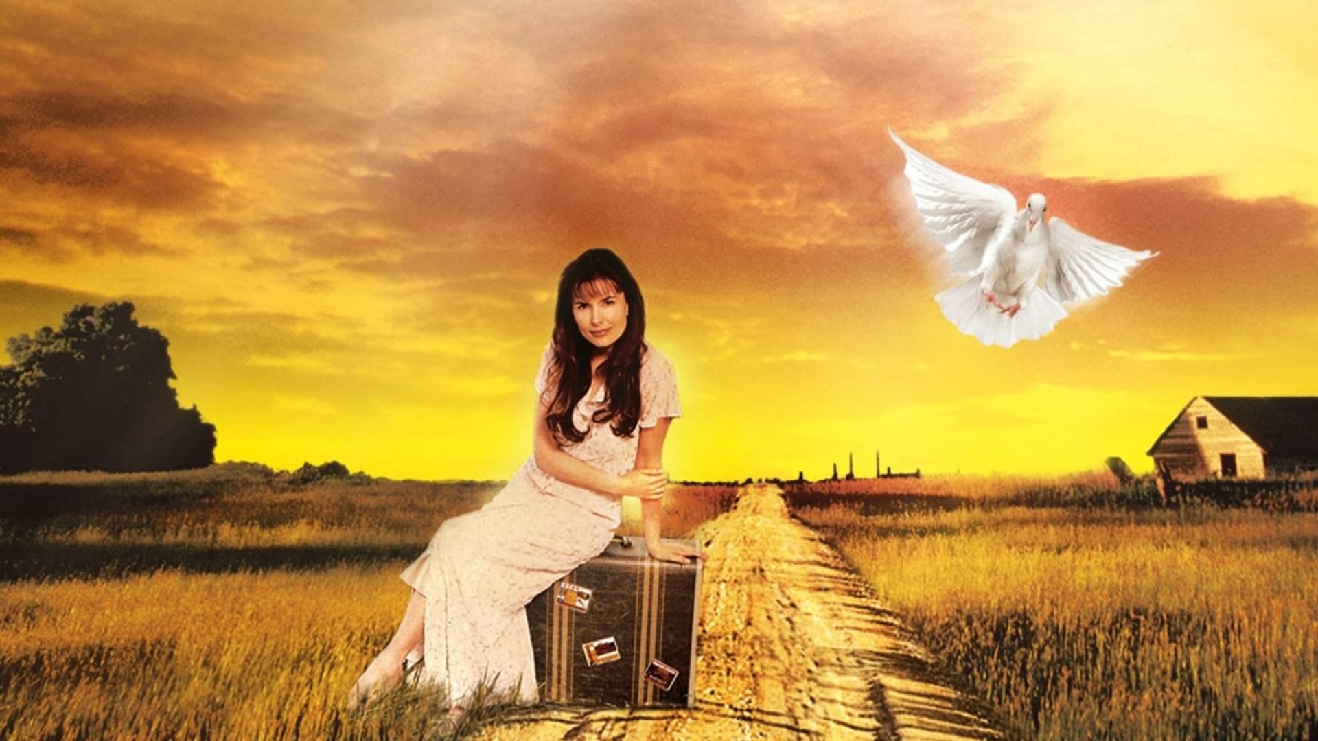 Foto do filme O Toque de Um Anjo