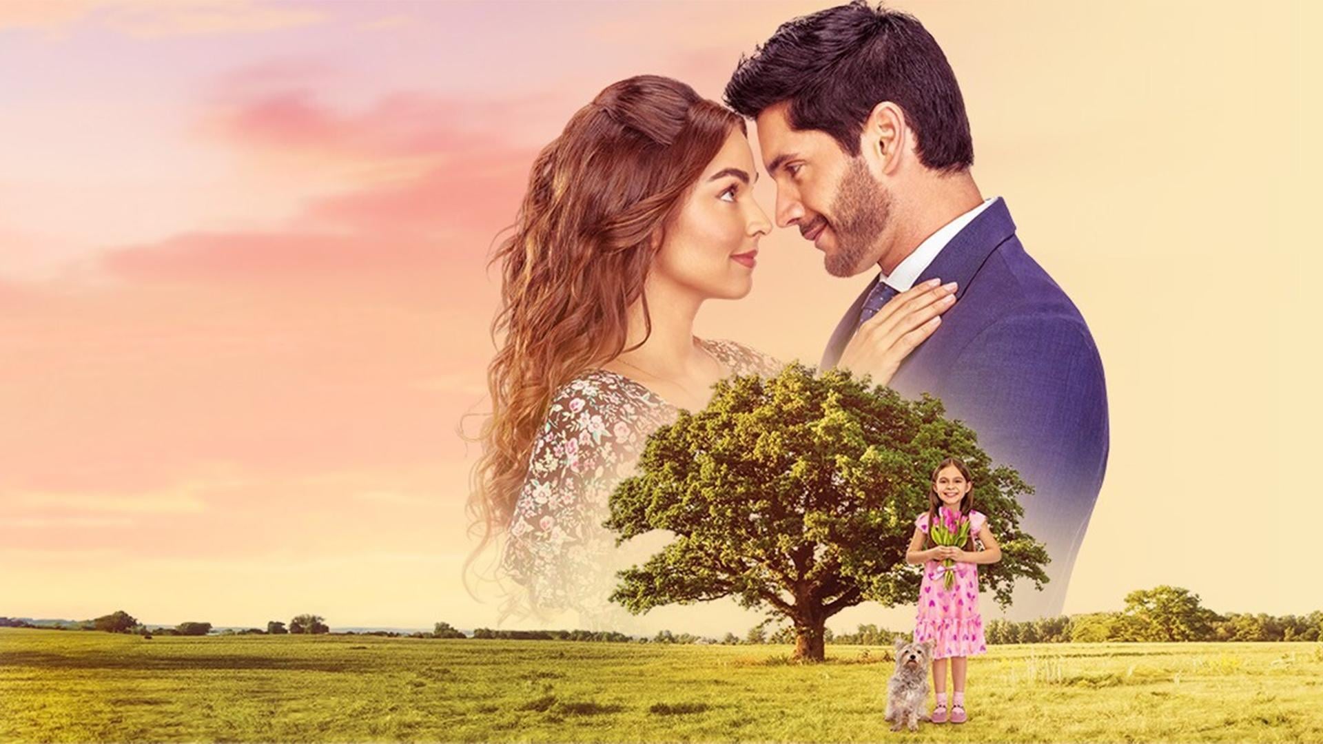 Foto do filme O Amor não tem Receita