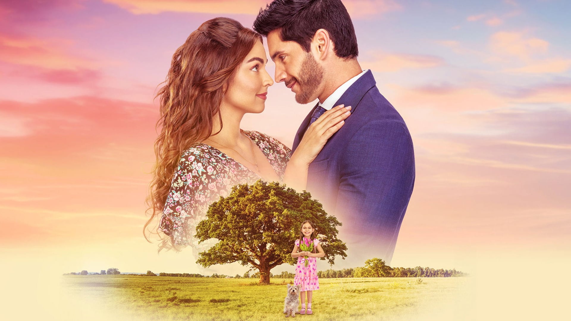 Foto do filme O Amor não tem Receita