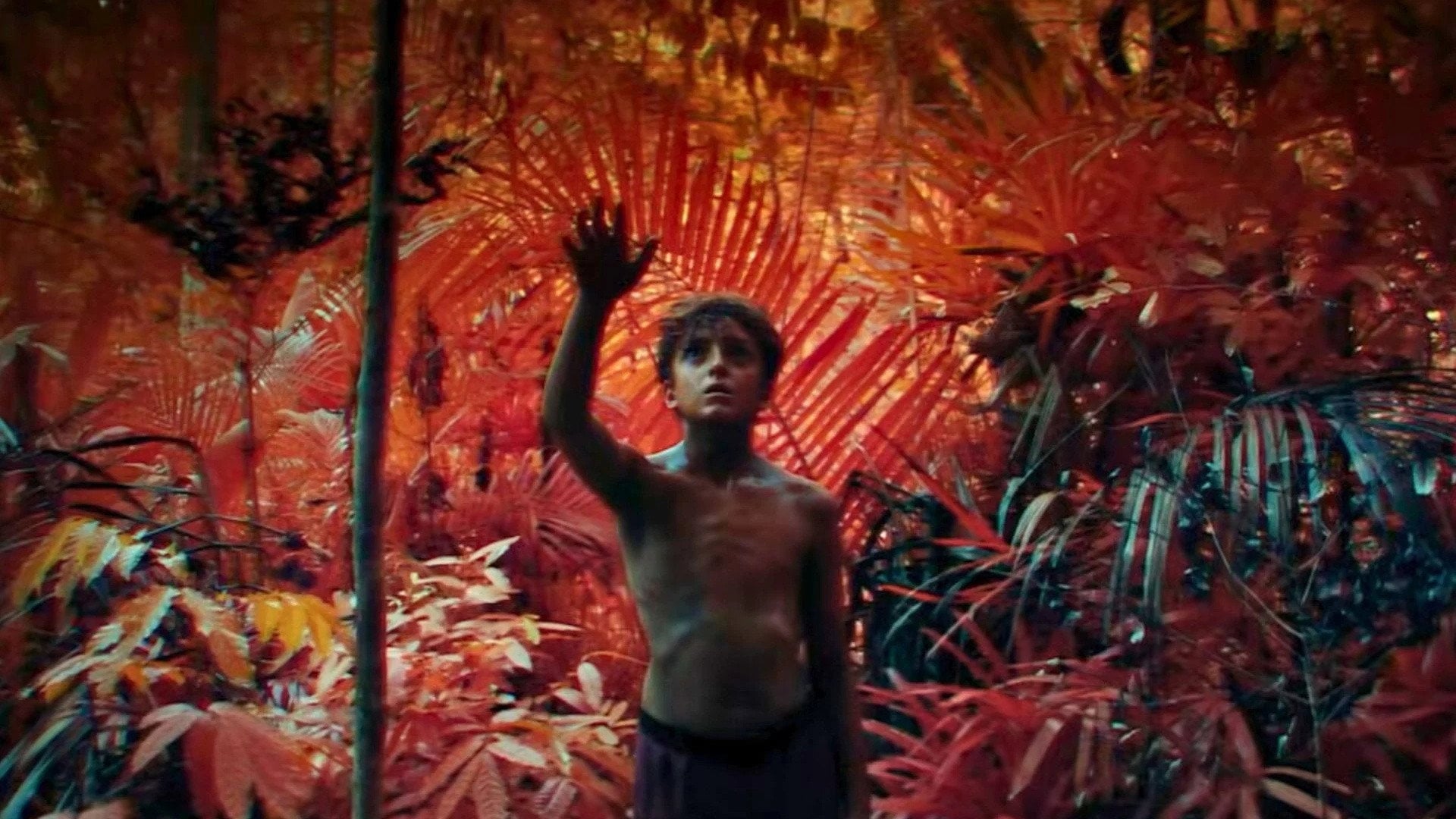 Foto do filme Lord of the Flies