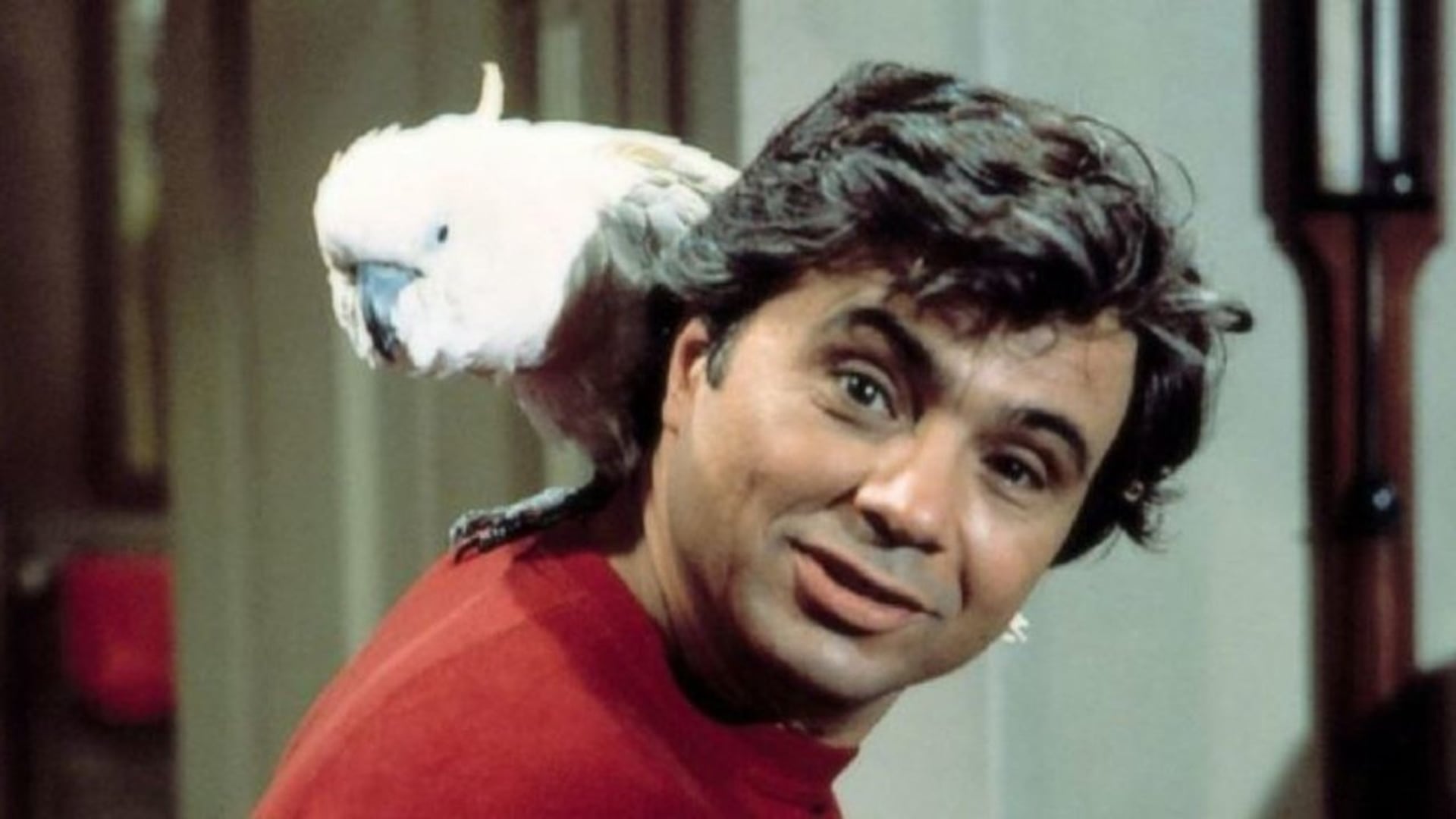 Foto do filme Baretta