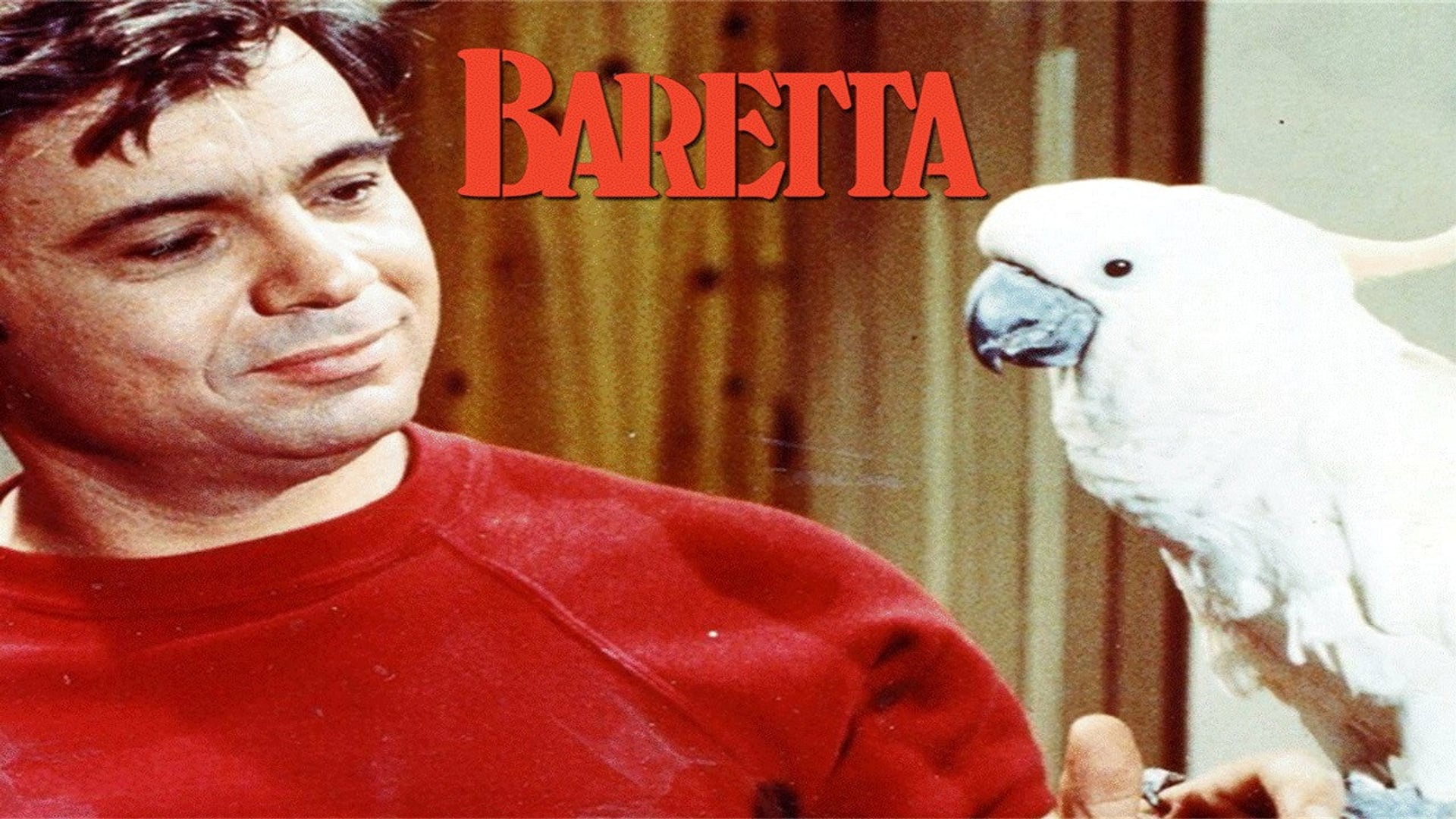 Foto do filme Baretta