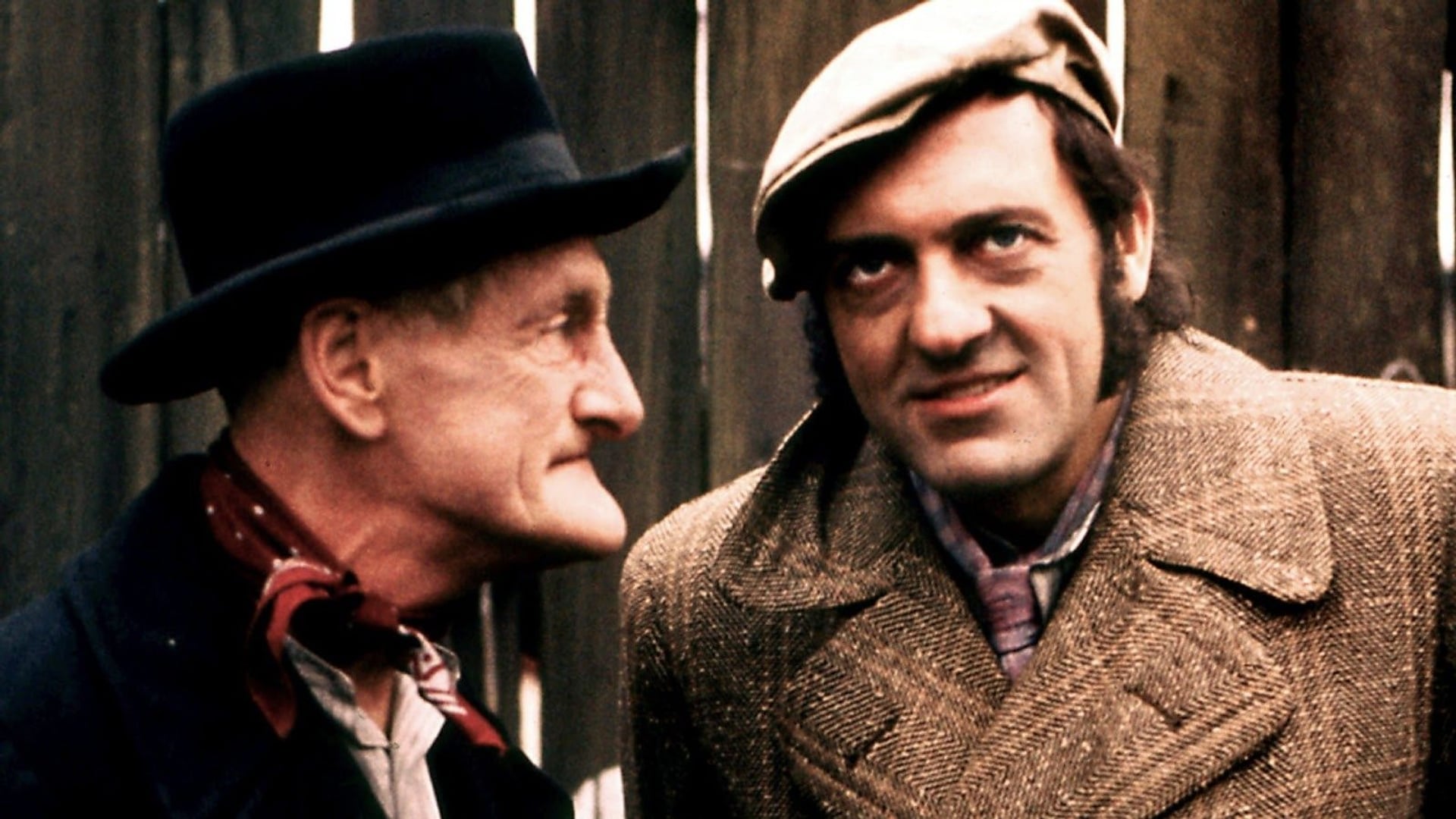 Foto do filme Steptoe and Son