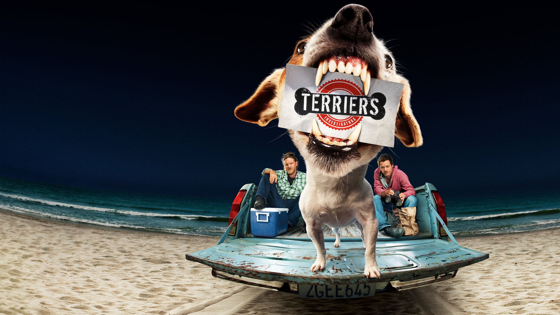 Foto do filme Terriers