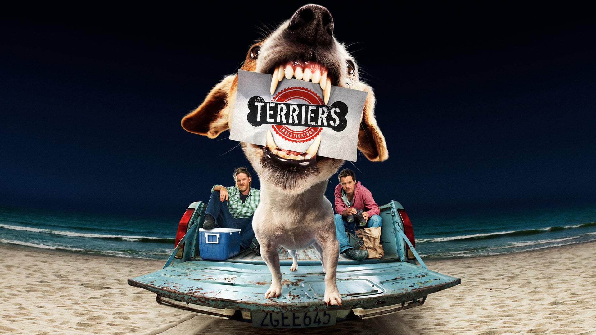 Foto do filme Terriers