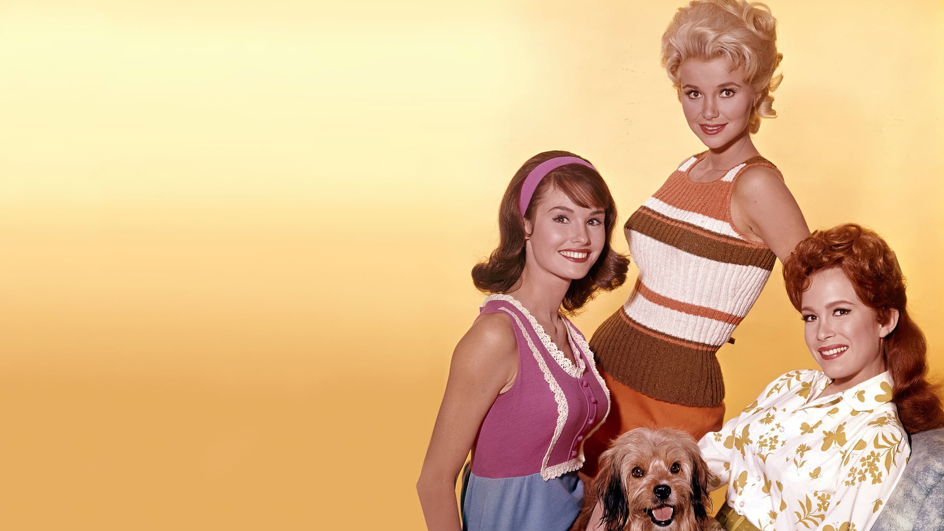 Foto do filme Petticoat Junction