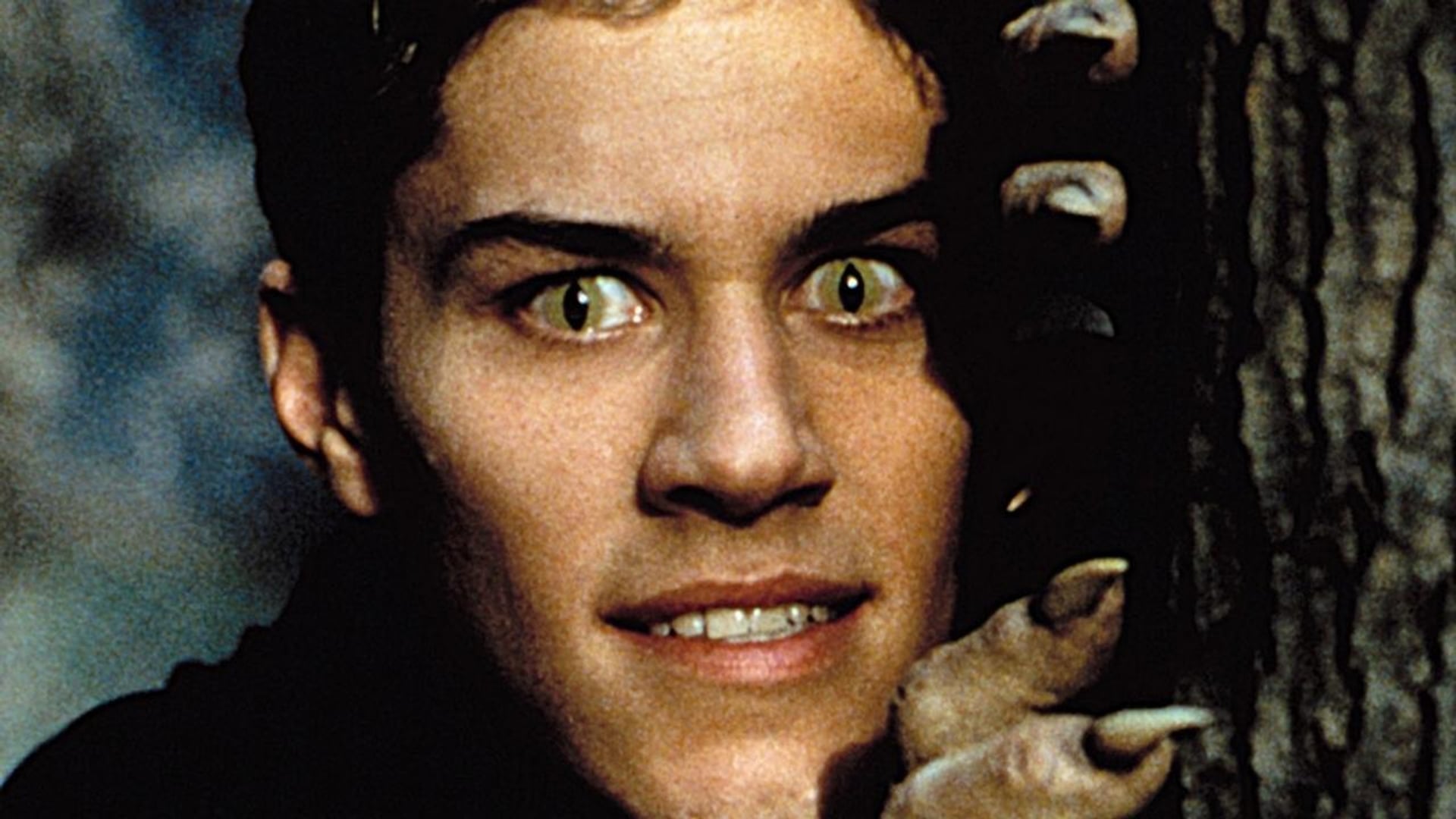 Foto do filme Big Wolf on Campus