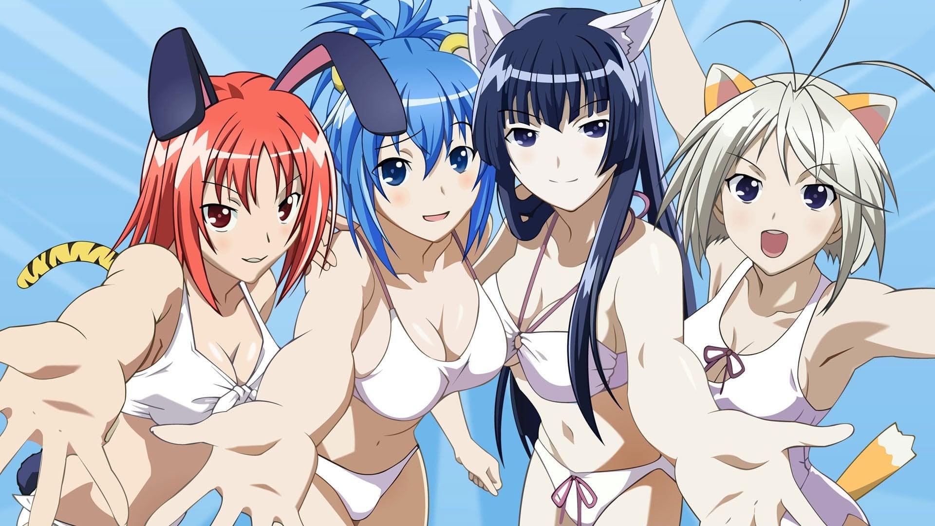Foto do filme Kampfer