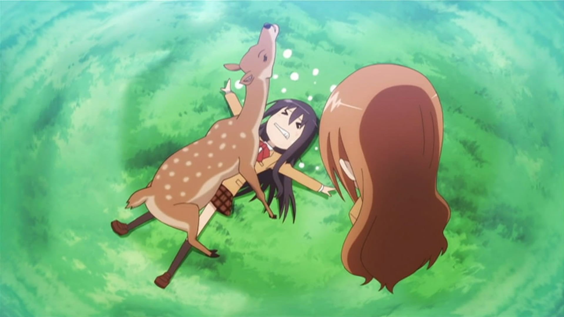 Foto do filme Seitokai Yakuindomo