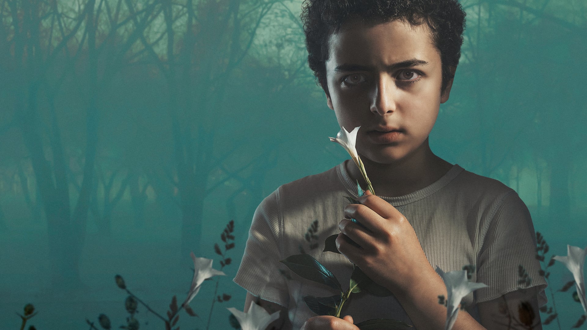 Foto do filme The Sinner