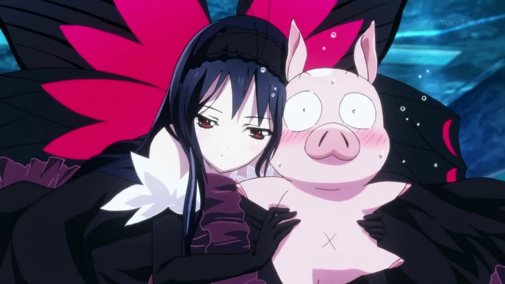 Foto do filme Accel World