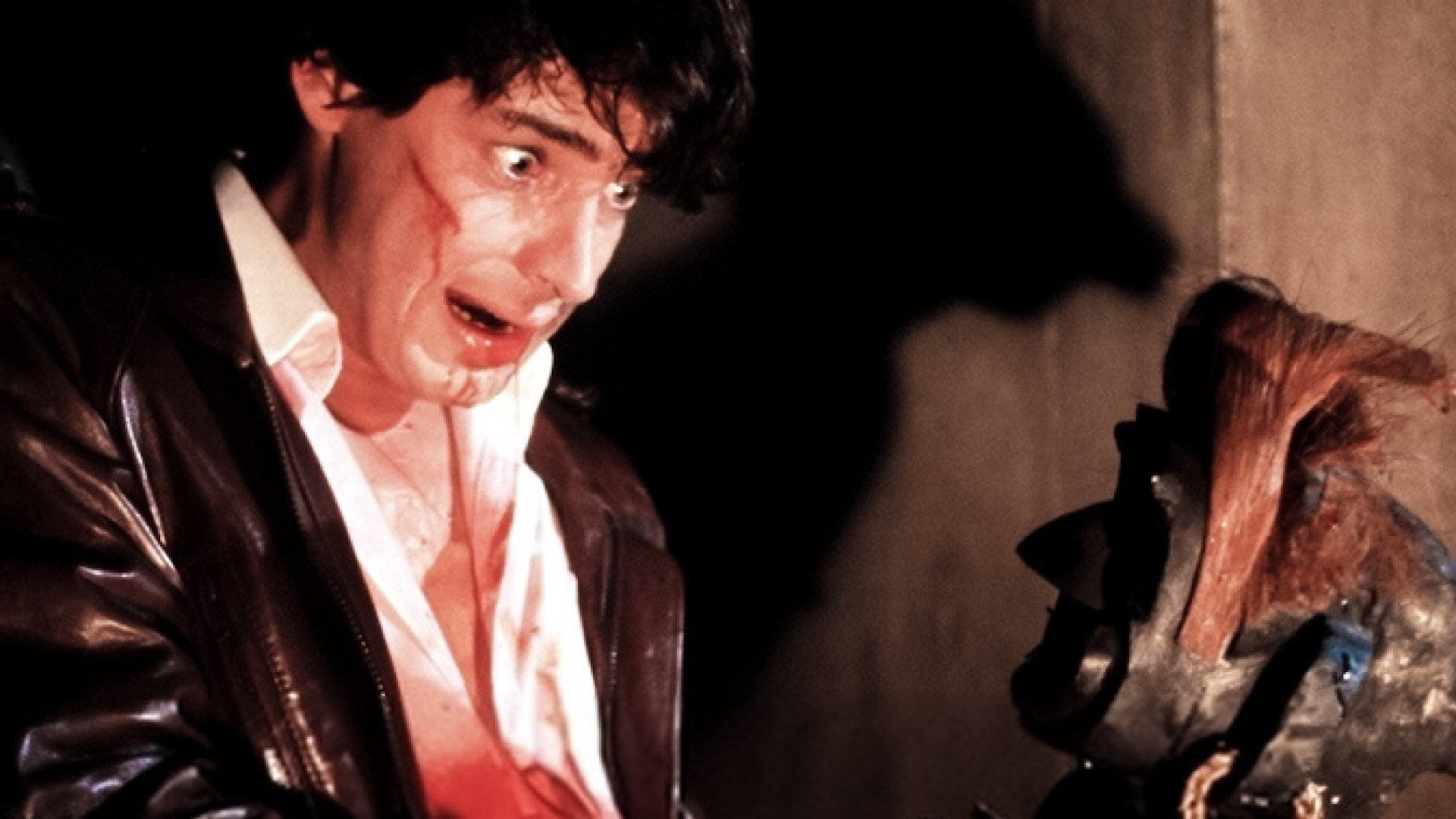 Foto do filme A Casa do Terror