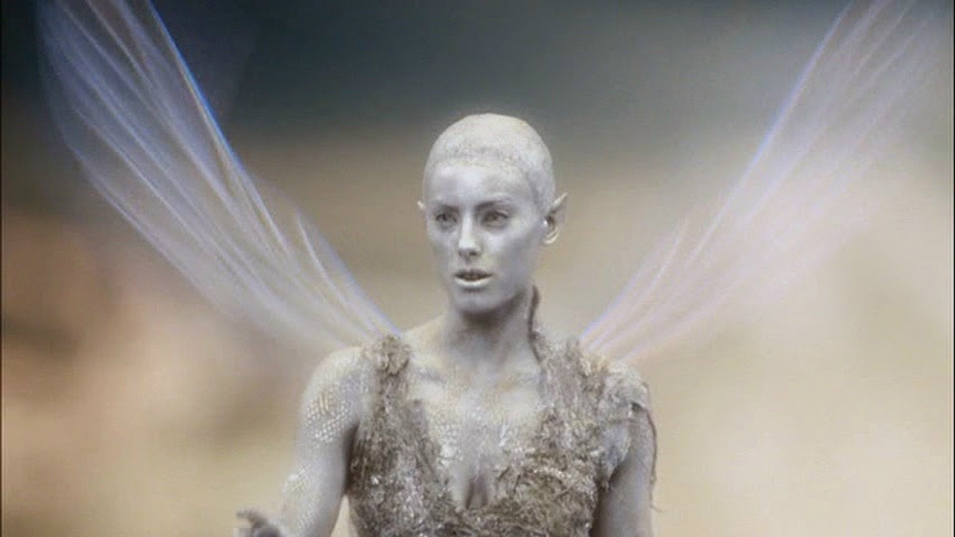 Foto do filme Terra do Nunca