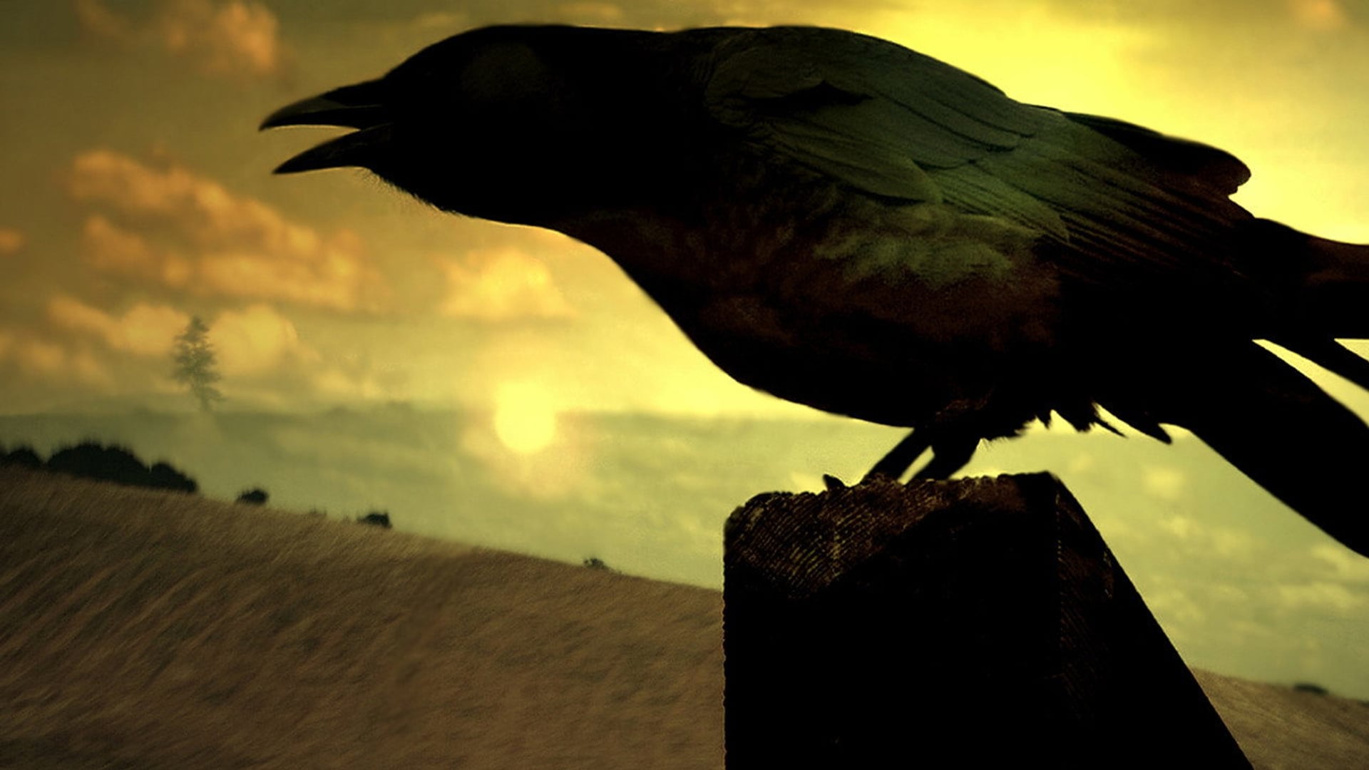 Foto do filme Highlander: The Raven