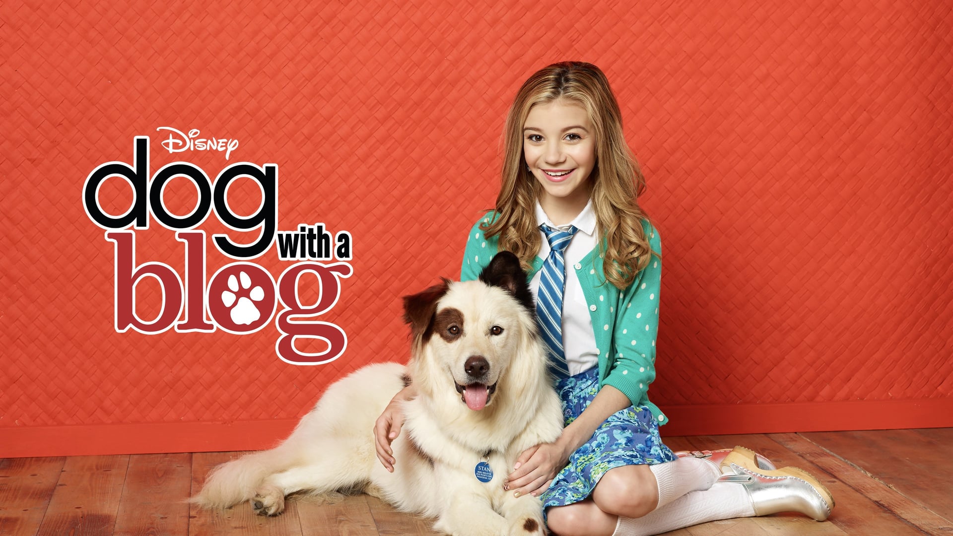 Foto do filme Stan, o Cão Blogueiro