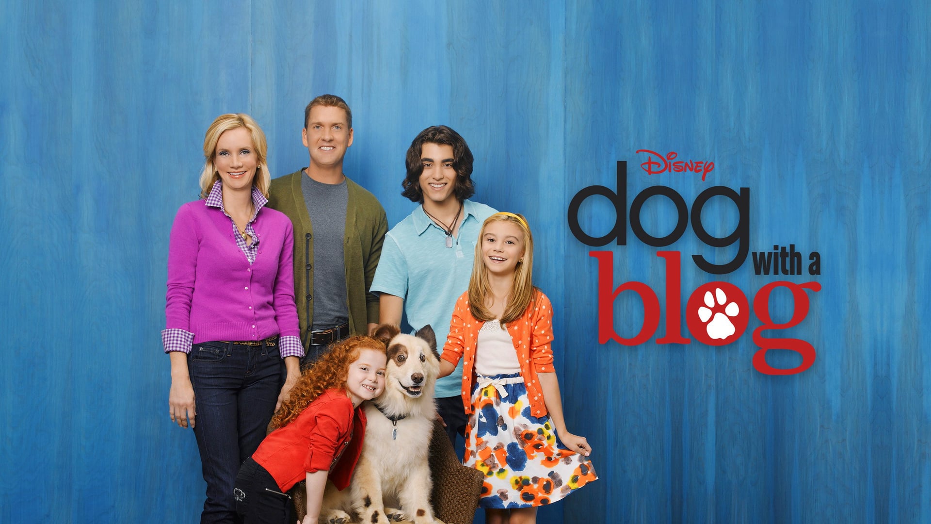 Foto do filme Stan, o Cão Blogueiro
