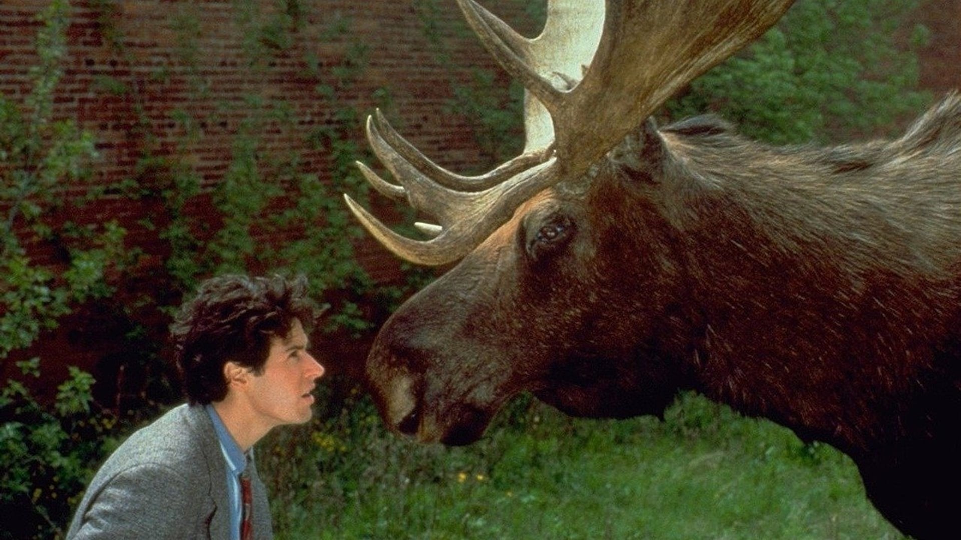 Foto do filme Northern Exposure