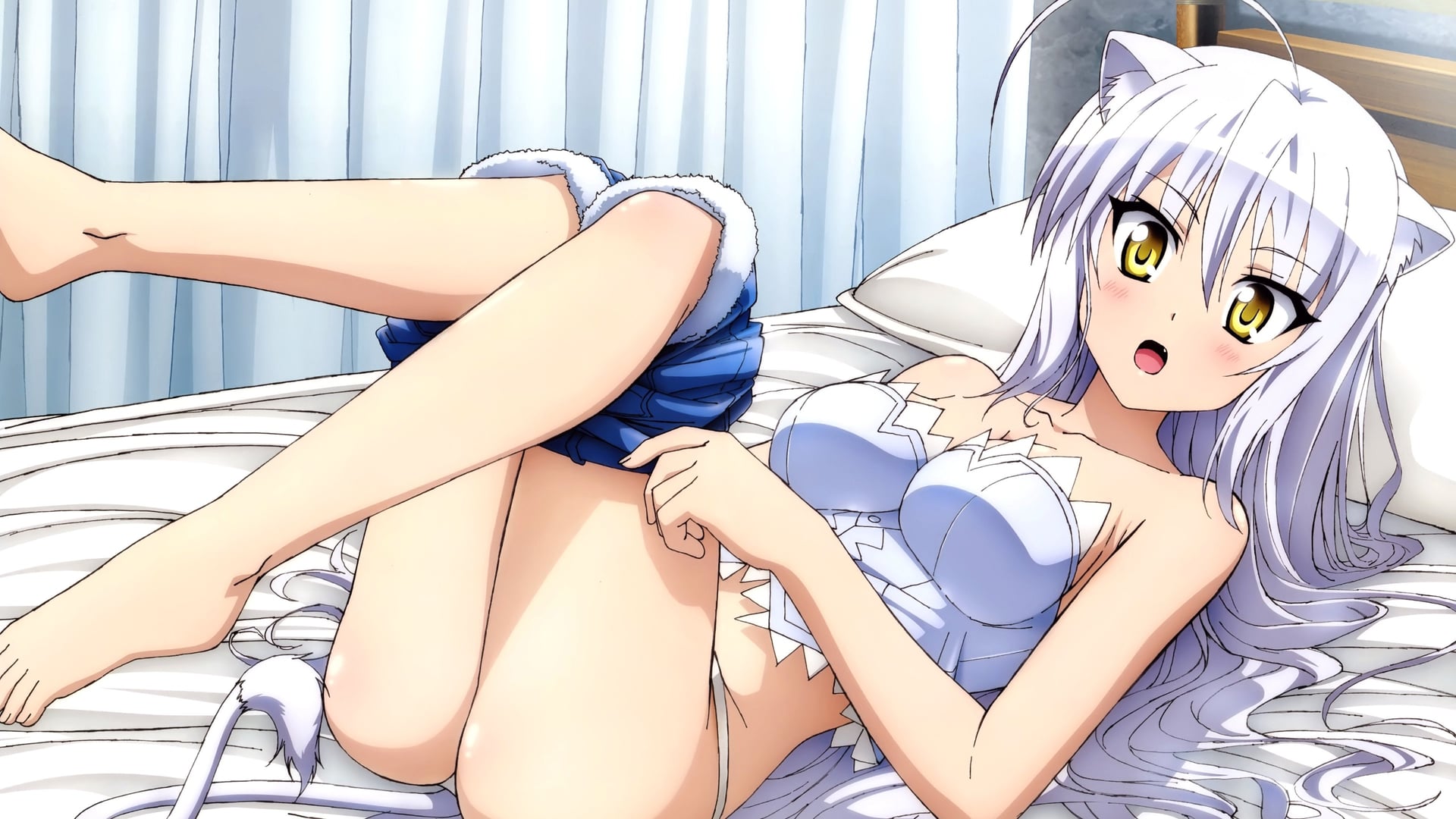 Foto do filme Dog Days