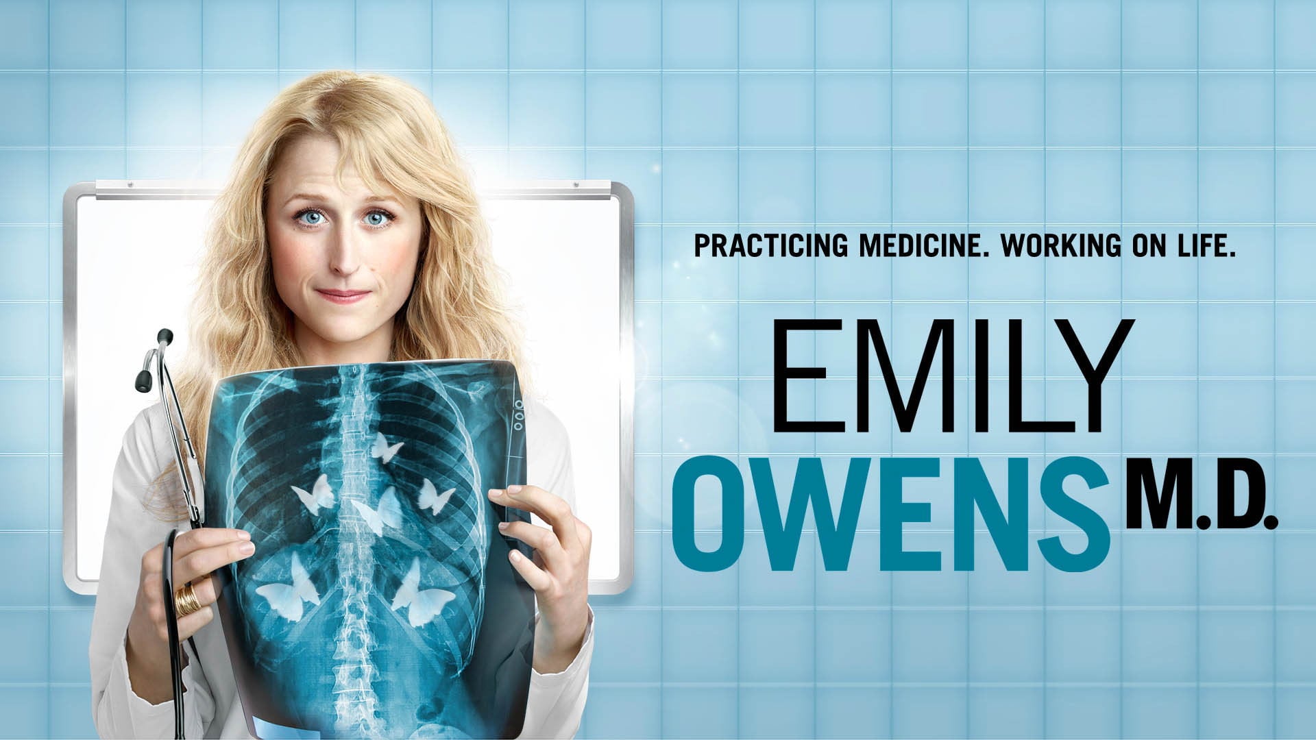 Foto do filme Emily Owens, M.D.