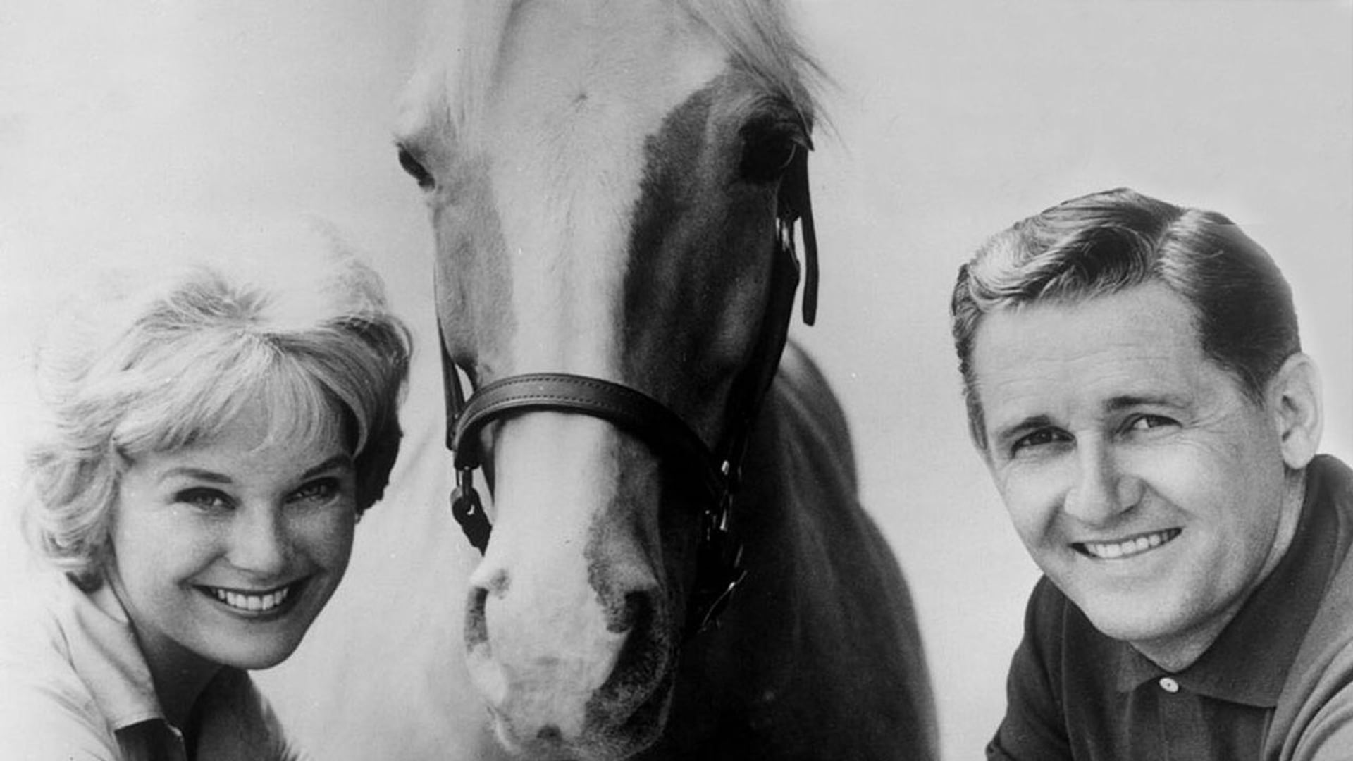 Foto do filme Mister Ed