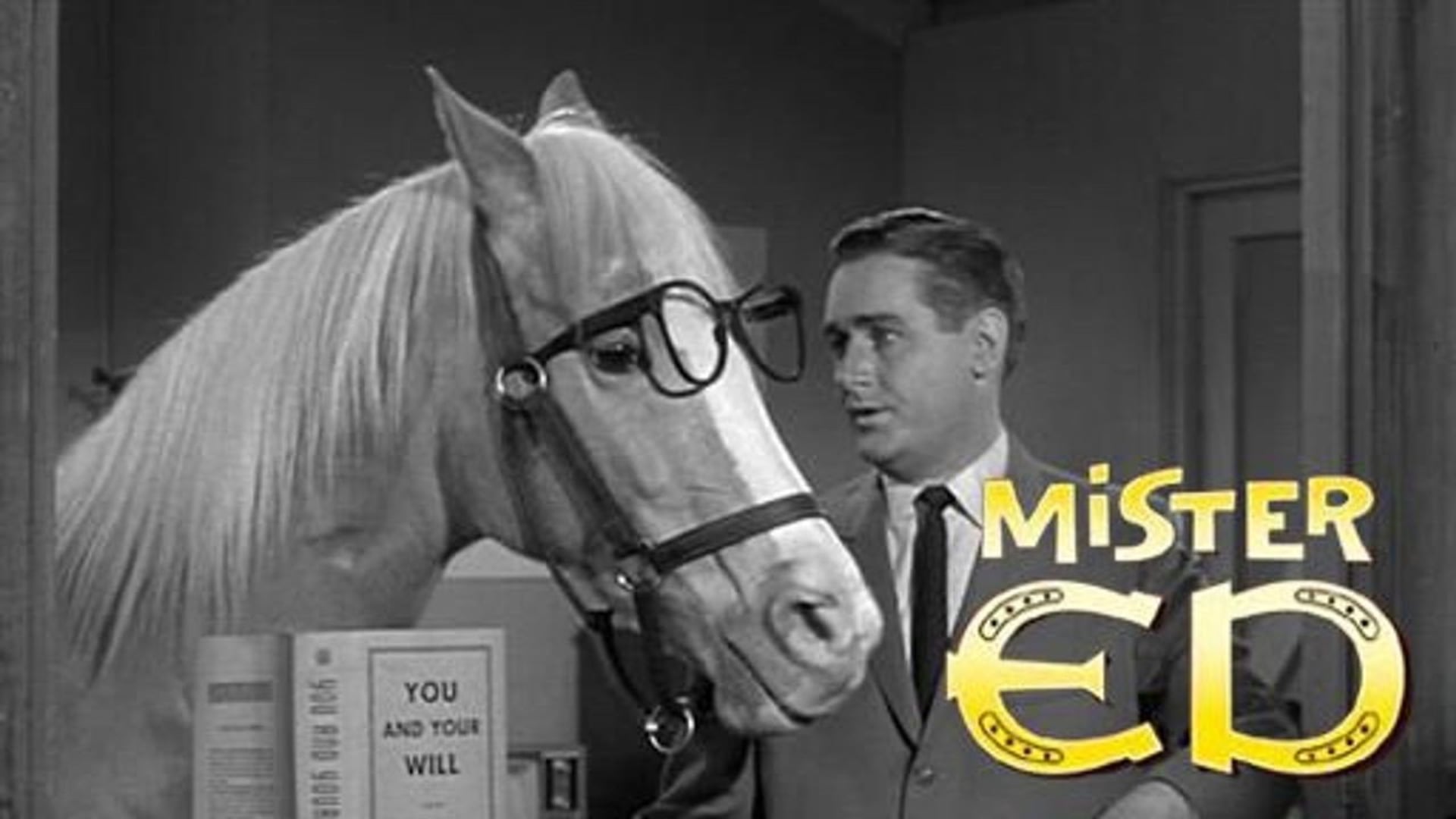 Foto do filme Mister Ed
