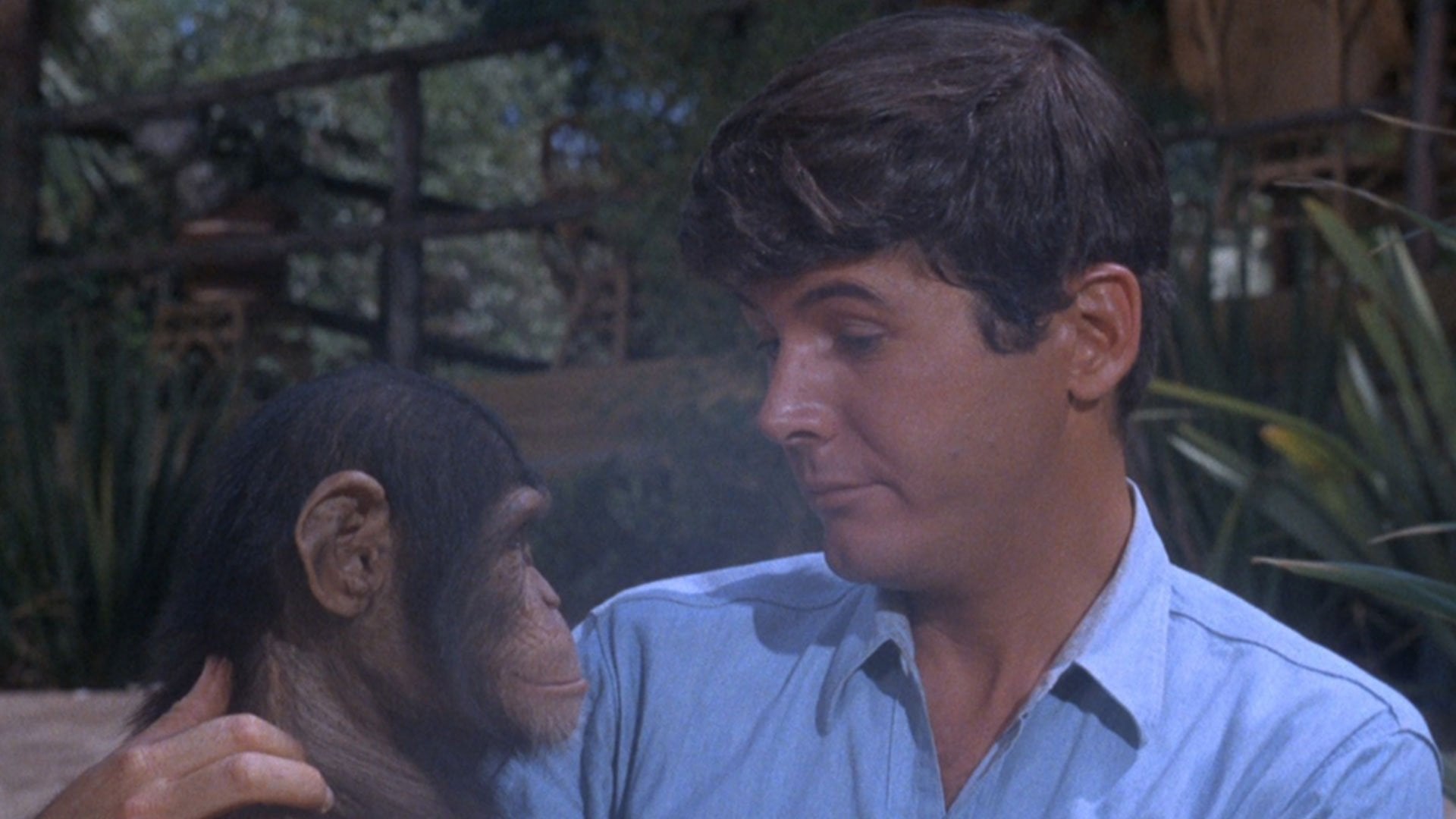 Foto do filme Daktari